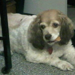 Meet your Posher, Cori